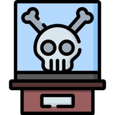 Skull