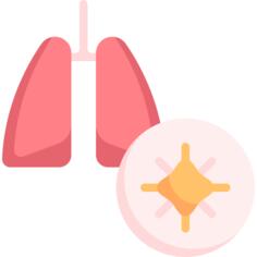 Lungs