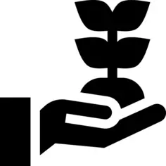 成长性