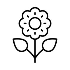 盛开