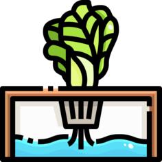 Hydroponic gardening
