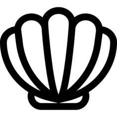 贝壳