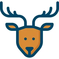 Reindeer