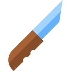 Razor