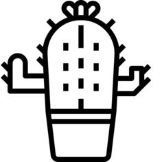 仙人掌