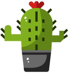 仙人掌