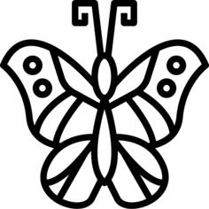 蝴蝶