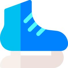 Ice skating shoes