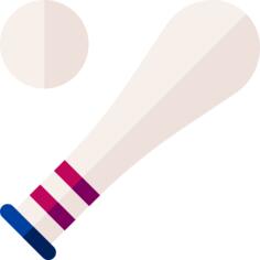Baseball bat