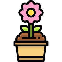 花盆