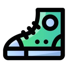 Shoe