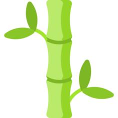 Bamboo