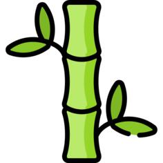 Bamboo