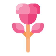 Rose flower