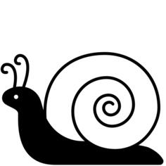 Snail