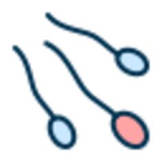 Sperm