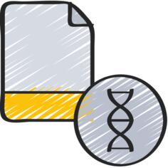 科学研究