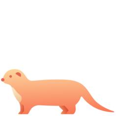 黄鼠狼