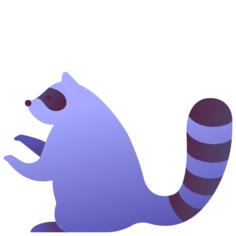 浣熊