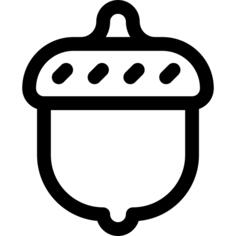 Acorn