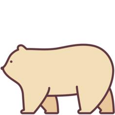 Polar bear
