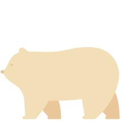 Polar bear