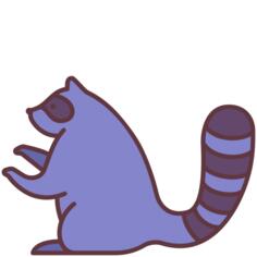 浣熊