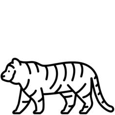 虎