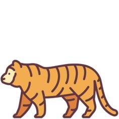 虎