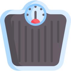 计重秤