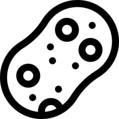 海绵