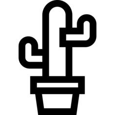 仙人掌
