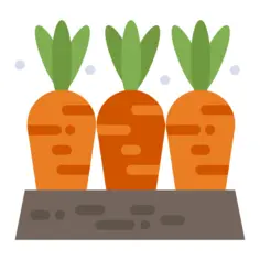 Carrot