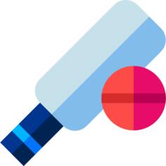Cricket