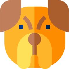 斗牛犬