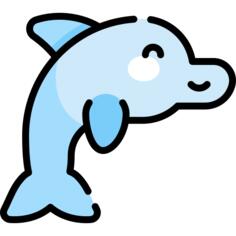 海豚