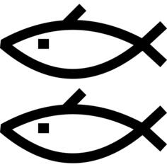 Herring