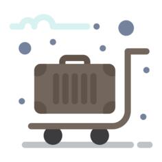 Travel luggage