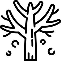 Leafless