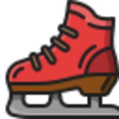 Ice skate