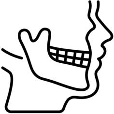 颚