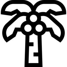 棕榈