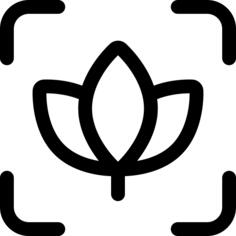 巨集