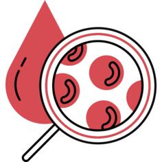 Blood cells