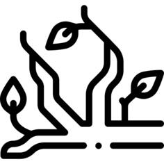 科