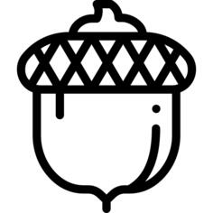 橡子