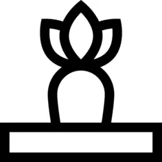 胡萝卜