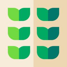 Plantation