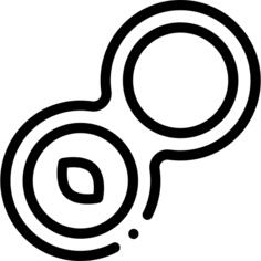Mitosis