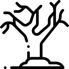 死树
